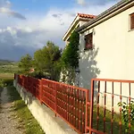 Maslina Jadrtovac
