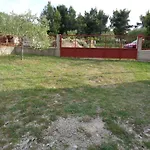 Maslina Jadrtovac