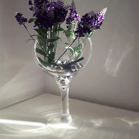 Apartamento Maslina *