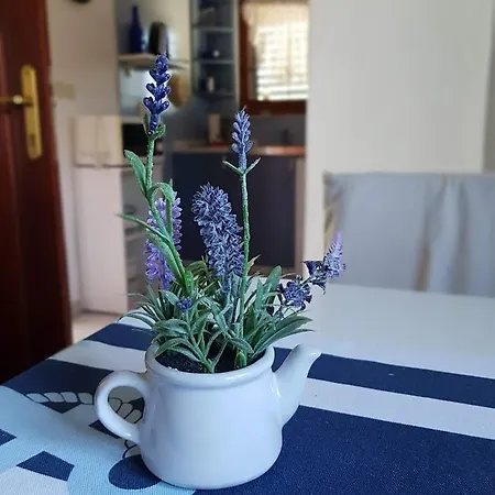 Maslina Apartamento *